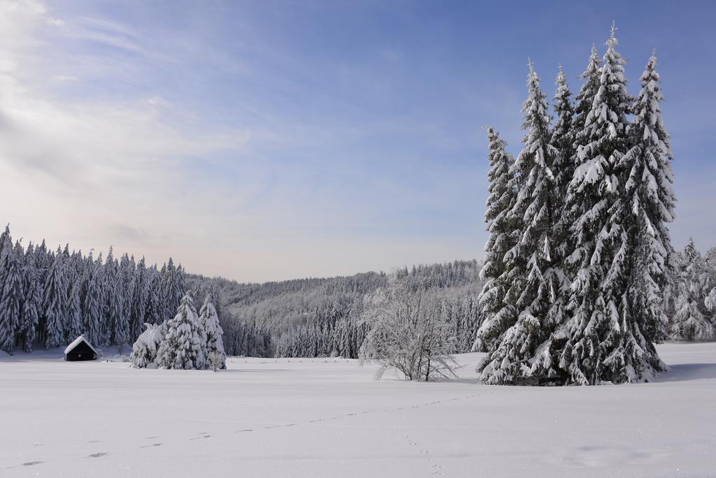 Relaxhotel Tannenhof Засбахвалден Екстериор снимка